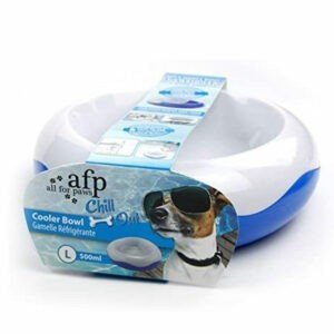 afp Chill Out Cooler Bowl for Dogs Large All for Paws